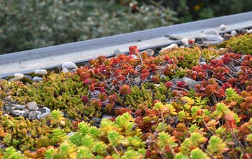 the cost of Lickfold green roof installation