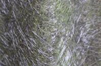 Lickfold fibreglass roof work